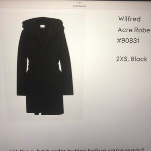 Aritzia acre coat